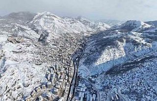 Gümüşhane’de kar görsel şölene dönüştü