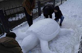 Gümüşhane’de "kardan kaplumbağa" ilgi...