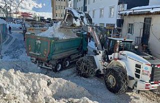 Hakkari’de 20 bin ton kar şehir dışına taşındı