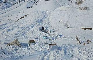 Hakkari’de 32 arı kovanı çığ altında kaldı