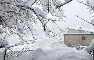 Hakkari‘de 353 yerleşim yeri kapandı