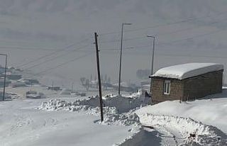 Hakkari’de 68 yerleşim yerinin yolu kapandı