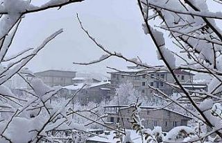 Hakkari’de 7 köy ve 18 mezra yolu için seferberlik