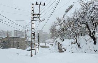 Hakkari’de 89 yerleşim yerinin yolu kapandı