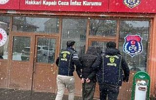 Hakkari’de uyuşturucu ve hırsızlık operasyonu
