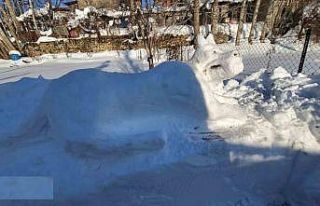 Hakkarili gençten kardan kangal köpeği figürü