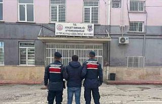 Hapis cezasıyla aranan şahsı jandarma yakaladı