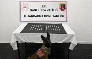 Harran’da uyuşturucu operasyonu: 2 gözaltı