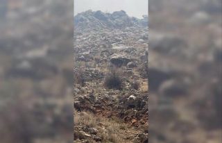 Hasankeyf’te örnek davranış: Sürücü durdu,...