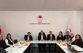 Hatay’da kadın kooperatifleri gıdada sıfır atık...