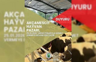 Hayvan pazarı 4 ay sonra yeniden hizmete açılacak