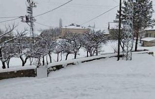 "Her şey devletten beklenmez" diyerek köy...