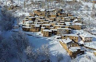 Hizan’ın taş evleri kar altında kartpostallık...