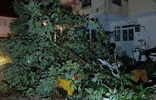 Hortum Manavgat’ı savaş alanına çevirdi