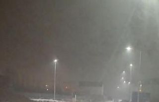 Iğdır’da kurtlar yerleşim yerlerine indi