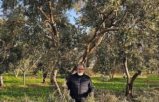 İncir ve Zeytin Bilimsel Araştırmalar Akademisi’nden...