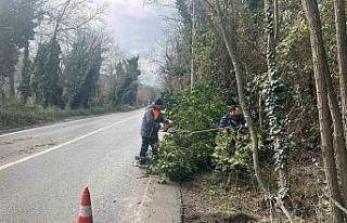 İstanbul için lodos uyarısı: Kuvvetli fırtına...