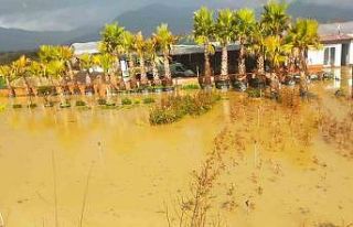 İzmir sağanağa teslim: Yollar ve tarım arazileri...