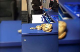 İzmir’de kafede yılanla gezdi, 12 bin lira ceza...