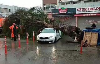 İzmir’de sağanak ve fırtına hayatı felç etti
