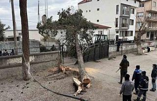 İznik’te okulların tatil olması faciayı önledi..Dev...