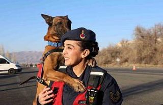 JAKEM’de görev köpekleri zorlu görevlere hazırlanıyor