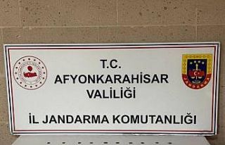 Jandarma 70 sikke ele geçirdi