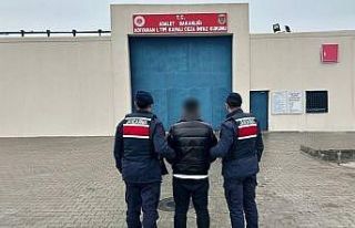 Jandarmadan aranan şahıslara operasyon: 11 tutuklama