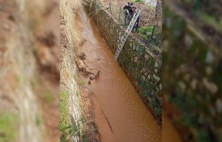 Kanala düşen köpeği itfaiye ekipleri kurtardı