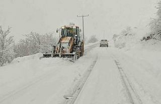 Kar alarmı: Bin 200 personel ve 354 araç sahada