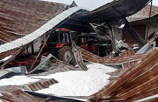 Kar birikintisi mandıra çatısını çökertti:...