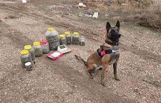 Karaman’da uyuşturucu operasyonu: 1 gözaltı