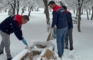 Karaman’da yaban hayvanları ve kuşlar için doğaya...