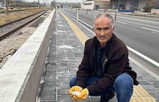 Karayolunun kenarında beyaz örtü oluşturan tırlardan...