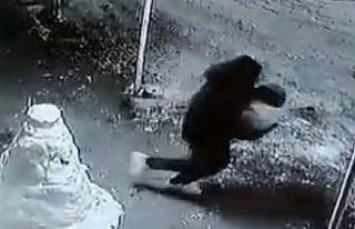 Kardan adamın kafasını çaldılar, o anlar kamerada