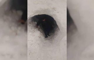 Kardan kapanan ahıra tünel açarak girdiler