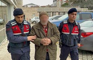 Kardeş kavgası kanlı bitti: 71 yaşındaki ağabey...