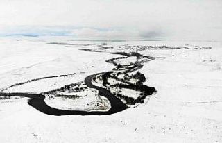 Kars’ta beyaz esaret değil, görsel şölen: Tarım...