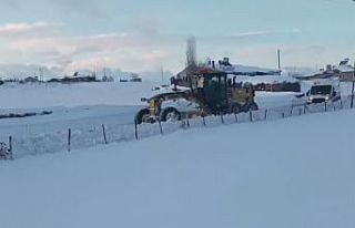 Kars’ta ’kar kaplanları’ndan hayat mesaisi