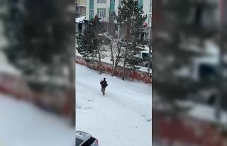 Kars’ta vefa dolu görüntü: Hasta annesini kucağında...