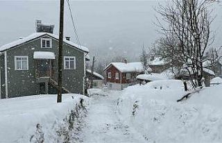 Kastamonu’da kar 167 köy yolunu ulaşıma kapattı