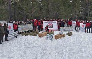 Kastamonu’da karla kaplanan ormanlara yaban hayvanları...