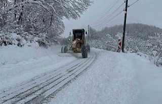Kavak’ta karla mücadele