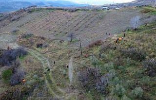 Kayıp olarak aranan kadın dere yatağında ölü...