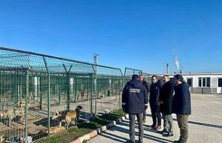 Kaymakam Özderin, Pınarhisar Geçici Hayvan Bakım...