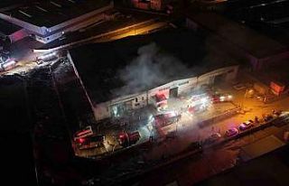 Kayseri’de mobilya fabrikasında yangın