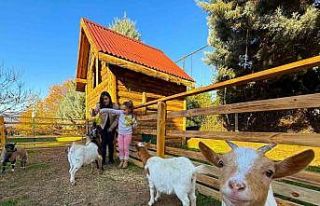 Keçi, ördek, tavuk, tavşan: Hepsinin görevi "Çok...