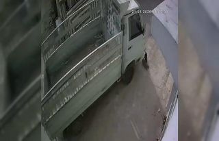 Kedi ezen sürücüye hayvan barınağında çalışma...