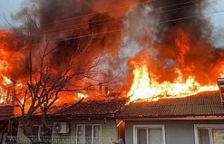 Kediler üşümesin diye yakılan soba faciaya dönüştü:...