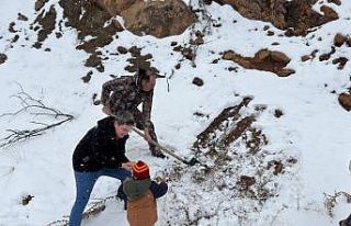 Kemaliye’de yaban hayvanları için yemleme faaliyeti...